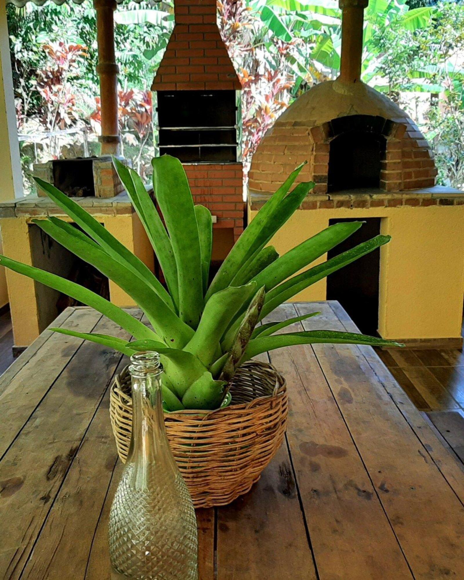הוילה Casa Da Ilha Paraty Entre A Mata Atlantica E O Mar מראה חיצוני תמונה